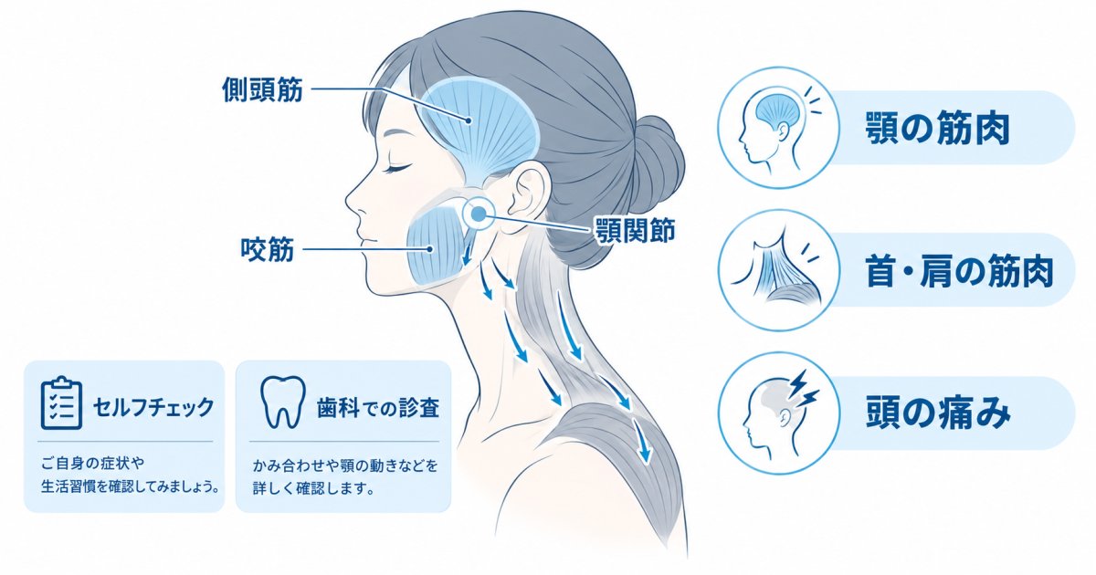 肩こり・頭痛が続くのは噛み合わせが原因？歯科医師が解説